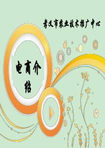 农业电商-ppt课件