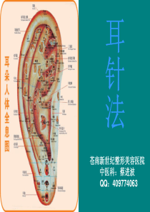 中医耳穴