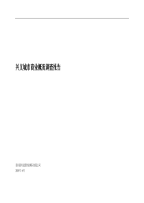 兴义城市商业调查研究报告