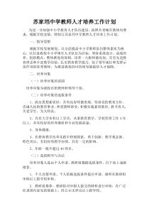 教师人才培养实施方案建