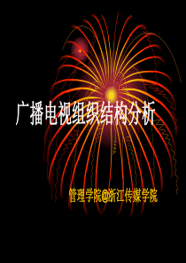 广播电视组织结构分析
