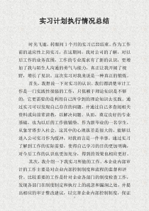实习计划执行情况总结