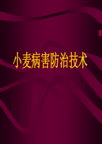 小麦病害防治技术
