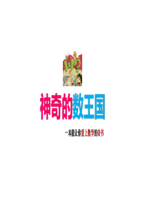 神奇的数王国