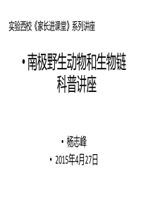 南极野生动物和生物链