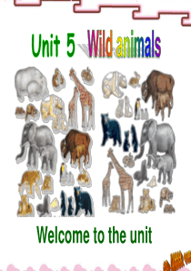 8A-Unit5-Wild-animals-Welcome-to-the-unit课件