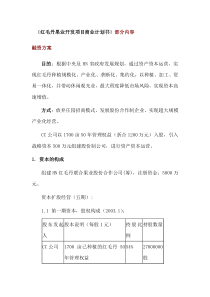 《红毛丹果业开发项目商业计划书》