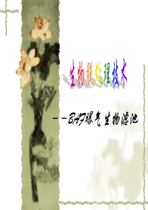 曝气生物滤池