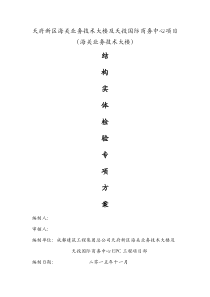 结构实体检验专项方案