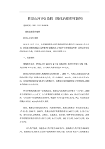 胜景山河财务造假案例分析(媒体)