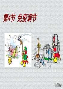 第4节-免疫调节讲课课件[整理]
