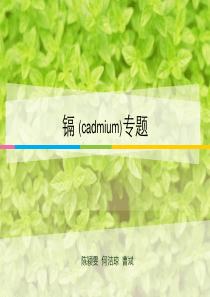 镉camium专题ppt课件
