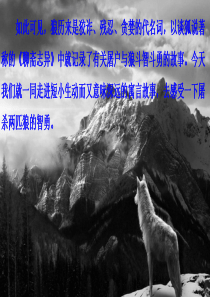 部编版七年级语文上册《狼》ppt课件