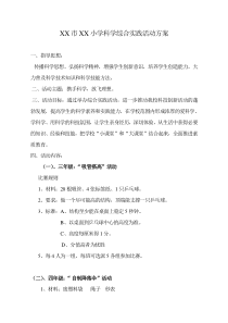 小学科学综合实践活动方案