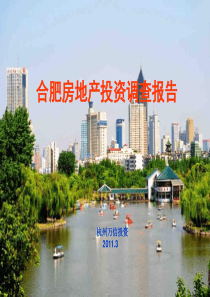 合肥房地产投资调查报告文案(NXPowerLite)