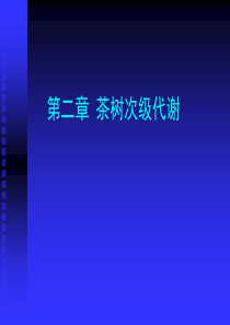 植物次生代谢ppt