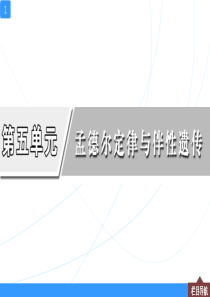 一轮复习课件第14讲-基因的分离定律