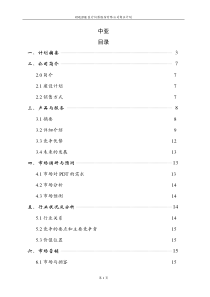 中亚医疗仪器公司商业计划书