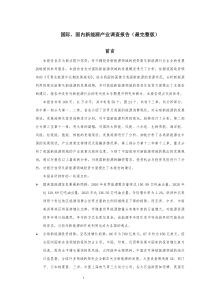 国际、国内新能源产业调查报告(最完整版)