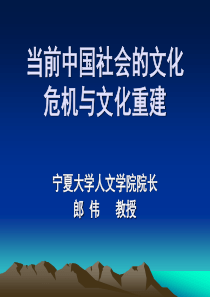 中国社会的文化危机与