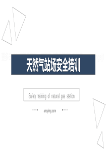 天然气站场安全培训
