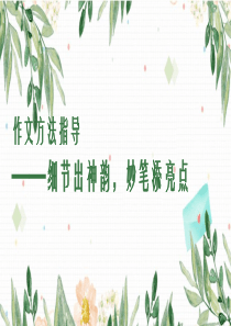作文训练之细节描写课件