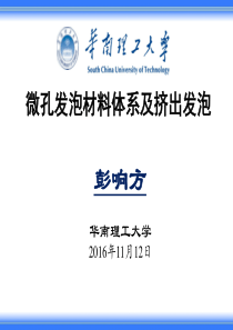 微孔发泡材料体系及挤出发泡-华南理工大学彭响方-