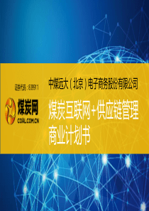 中煤远大.商业计划书（PDF35页）