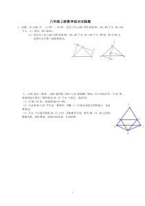 人教版八年级上册数学综合压轴题练习