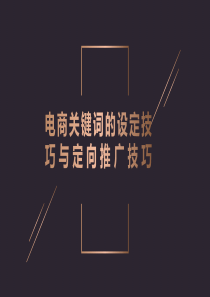 电商关键词的设定技巧与定向推广技巧