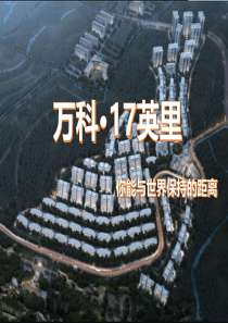 重庆万科17英里项目推介-你能和世界保持距离-房地产