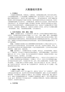 收集的大熊猫相关资料(小学三年级下册课外拓展)