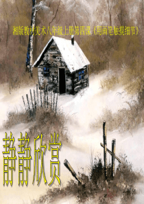 用画笔触摸细节(新版八年级)