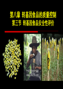 转基因食品的安全性评价