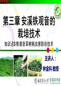 茶韵茶魂—安溪铁观音02-3.3安溪铁观音病虫害防治技术-10