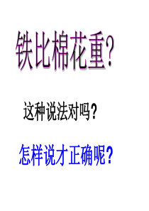 密度1--华师大版)