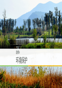 高三地理第一轮复习-选修6-环境保护