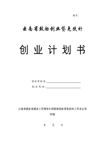 云南省鼓励创业贷免扶补创业计划书