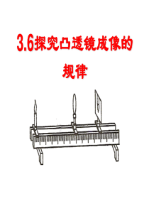 3.6探究凸透镜成像规律-(沪粤版)