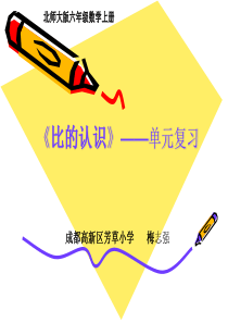 《比的认识》单元复习