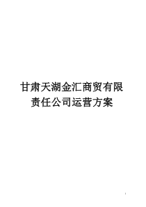 商贸公司运营方案