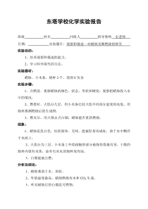 化学实验报告