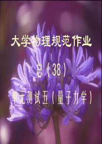 11级大学物理规范作业A-(17)