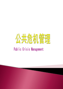 公共危机管理