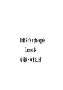 人教精通版四年级上册英语Unit-3-Its-a-pineapple-Lesson-14公开课课件