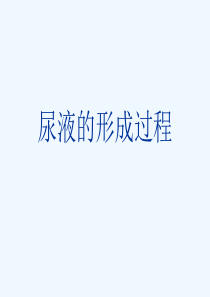 尿液的形成过程-PPT