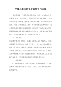 选树先进典型方案
