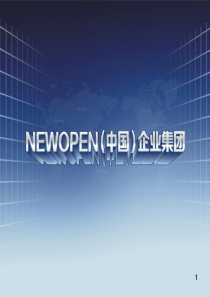 新鸥鹏集团简介(简版)ppt课件