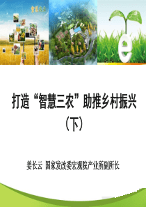 打造“智慧三农”助推乡村振兴-下-