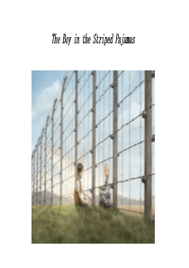 the-boy-in-the-striped-pajamas-穿条纹睡衣的男孩ppt